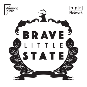 Logo for Brave Little State