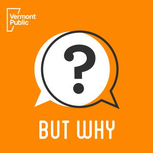 Logo for But Why: A Podcast for Curious Kids