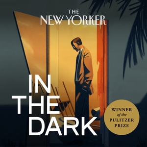 Logo for In The Dark