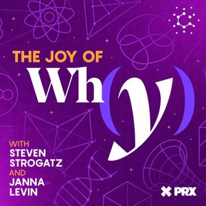 Logo for The Joy of Why